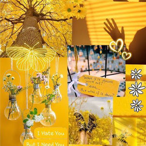 Meet your Posher, Amaree